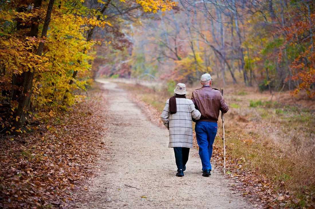 זוג מבוגרים צועד יחד בשביל בין עצים